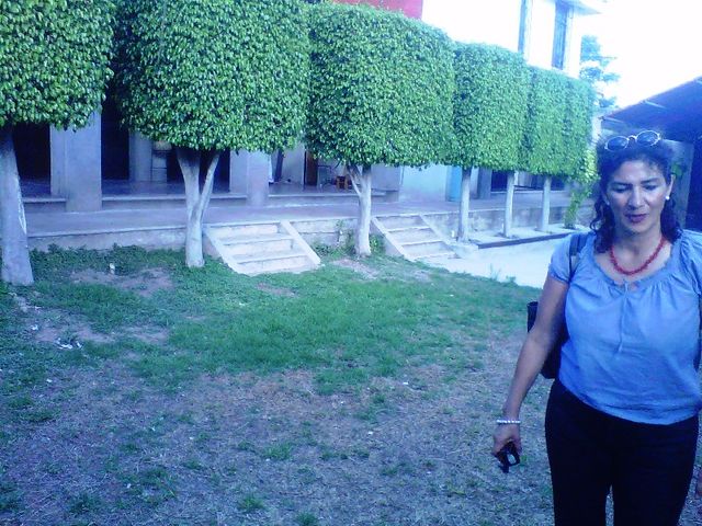 Sin Nombre