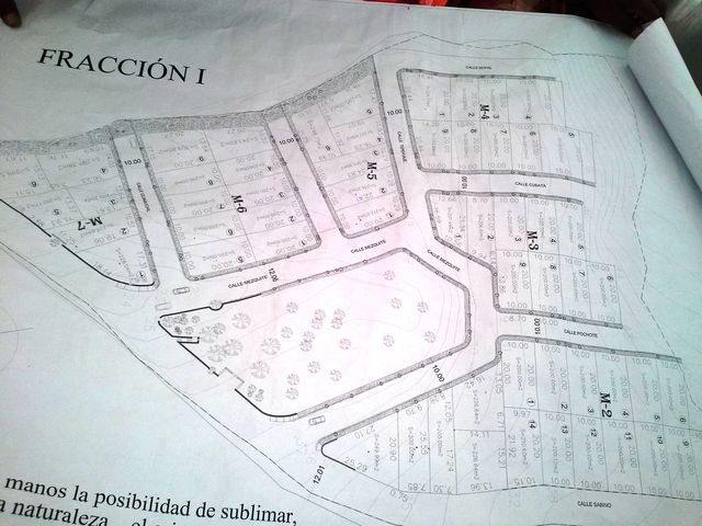 Plano del Proyecto