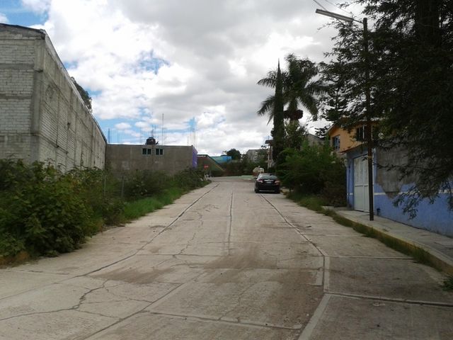 Sin Nombre