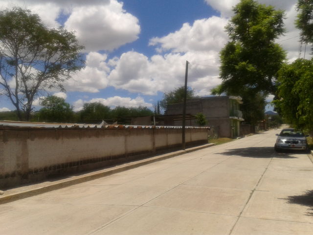 Sin Nombre