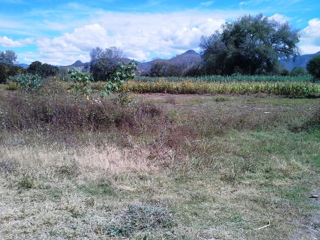 Sin Nombre