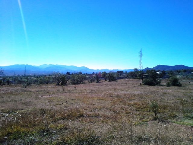 Sin Nombre