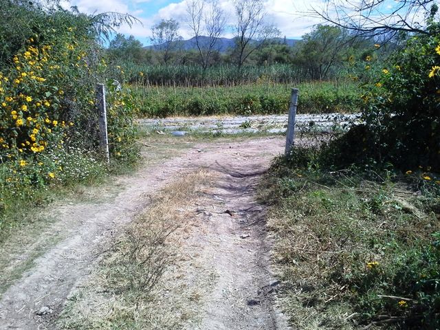 Sin Nombre