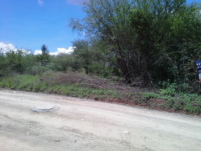 Sin Nombre
