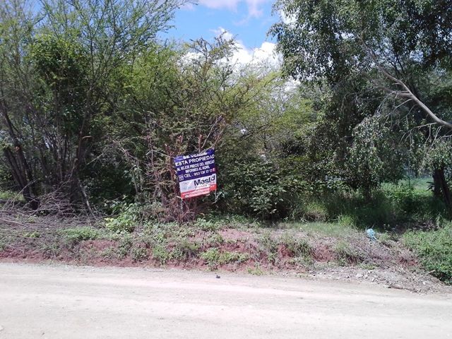 Sin Nombre