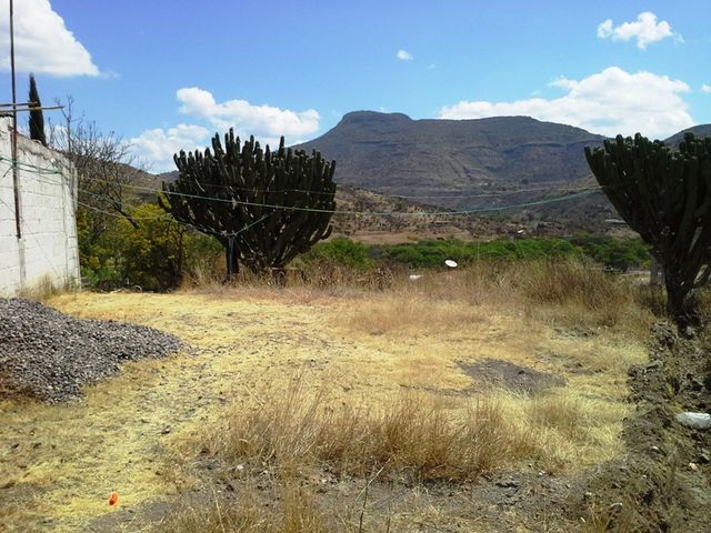 Vista del frente del Terreno