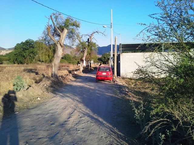 Sin Nombre