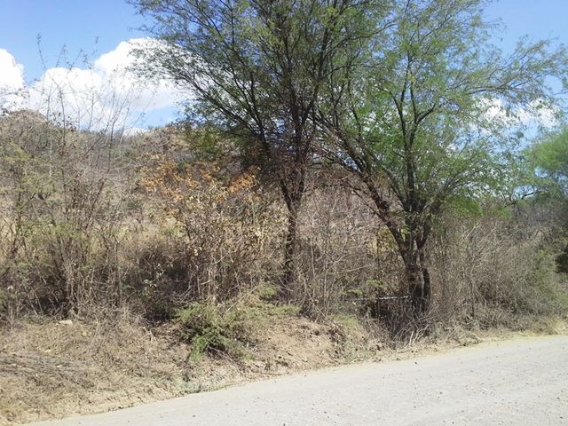Terreno sobre el camino tiene 80.09 Mts