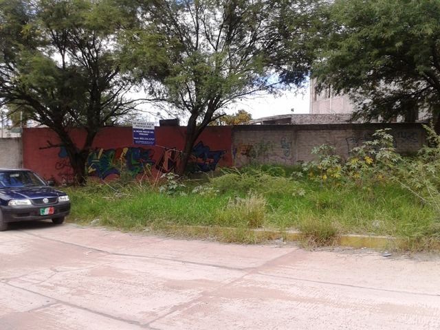 Sin Nombre
