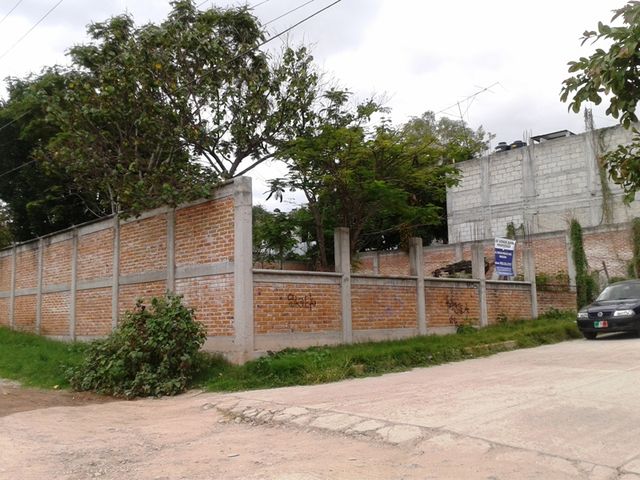 Sin Nombre