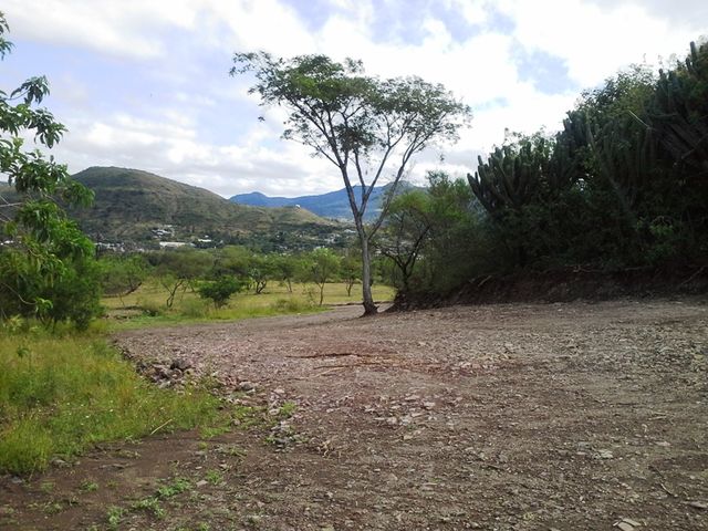 El Fracc. cuenta con una Glorieta