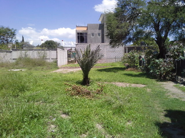 Sin Nombre