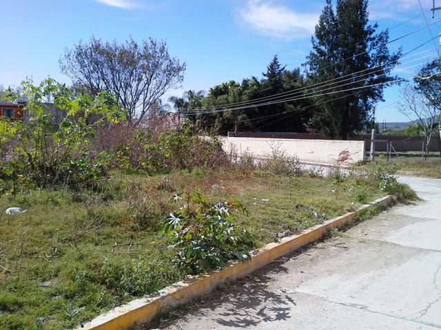 Sin Nombre