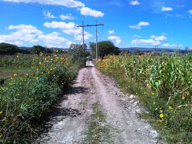 Sin Nombre