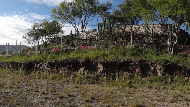 Glorieta del Fraccionamiento
